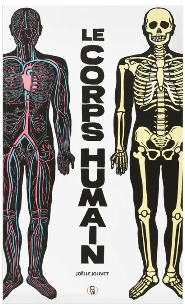 Support pédagogique sur l'anatomie et le corps humains