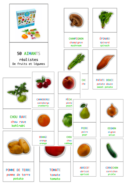 Aimants DMEntiel  50 fruits et légumes – La Dame des Gribouillis