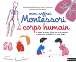 Montessori | Corps humain