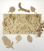 Montessori | Botannique