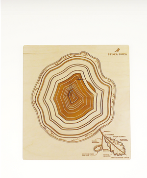 Montessori | Botannique